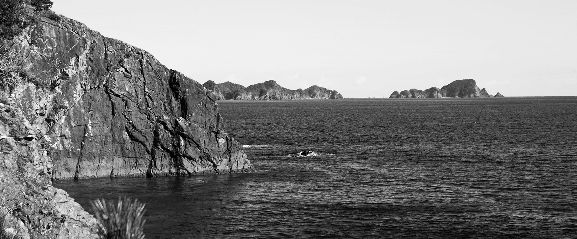 珊瑚のジュエリー